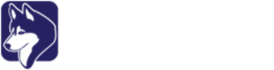 Task Huskey